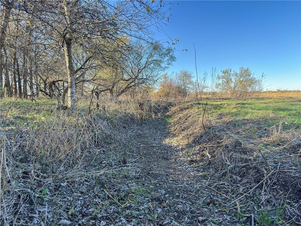 20 acres in McLennan County - photo 24