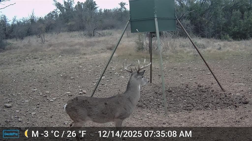 98.82 acres in Eastland County - photo 33