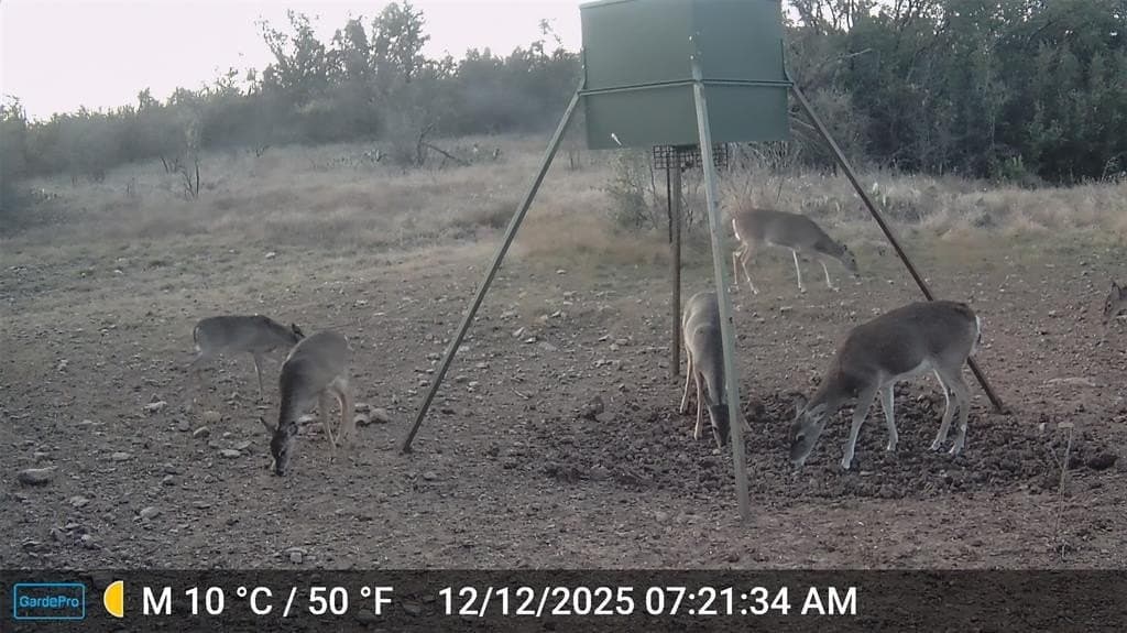 98.82 acres in Eastland County - photo 34