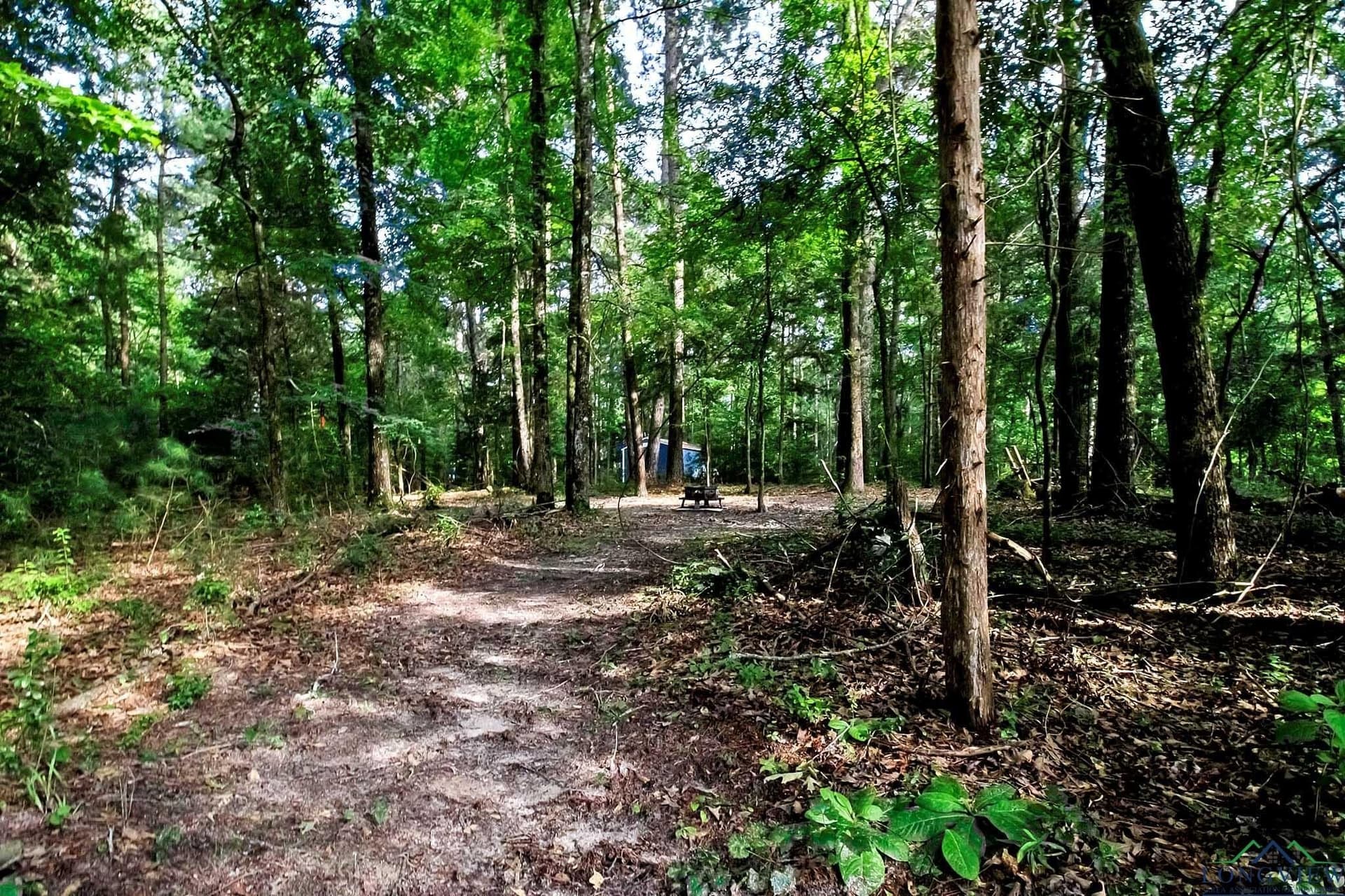 6.08 acres in Rusk County - photo 6