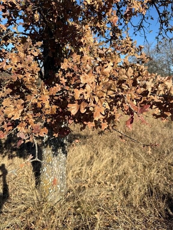 5 acres in Bosque County - photo 10