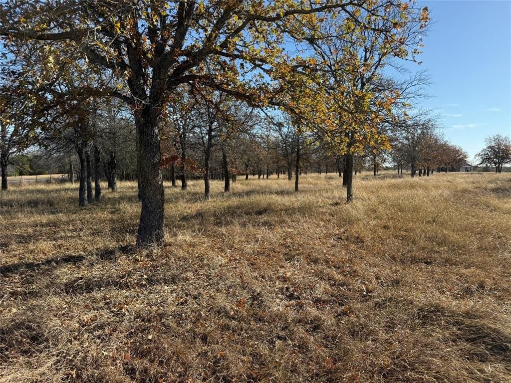 5 acres in Bosque County - photo 2