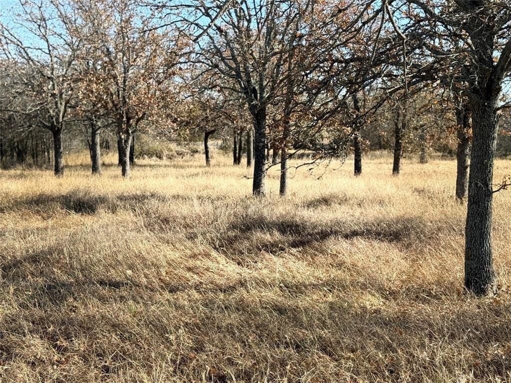 5 acres in Bosque County - photo 13