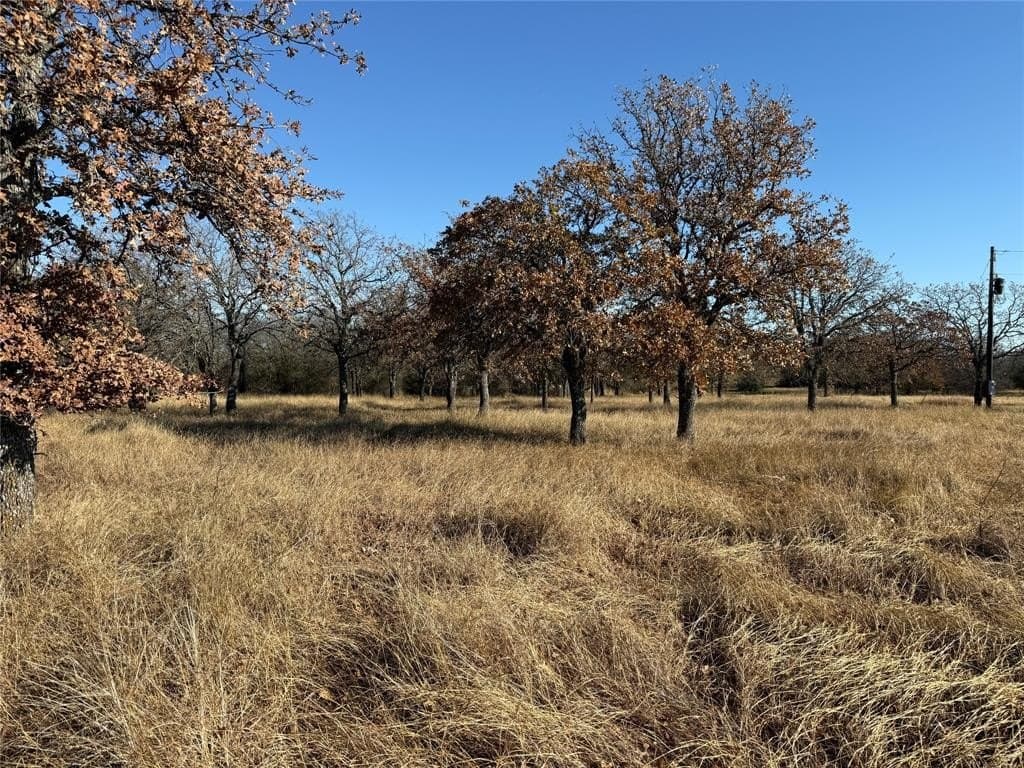 5 acres in Bosque County - photo 9