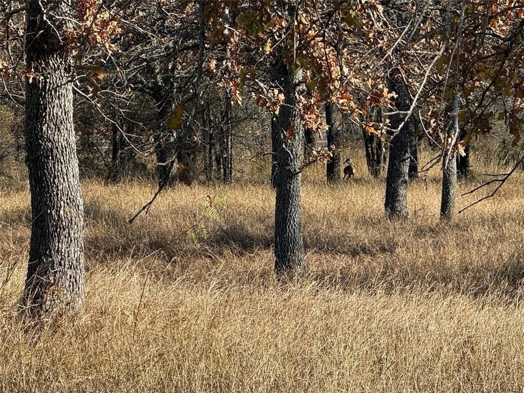 5 acres in Bosque County - photo 11
