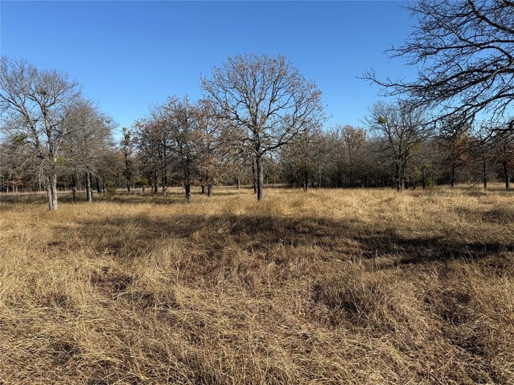 5 acres in Bosque County - photo 6