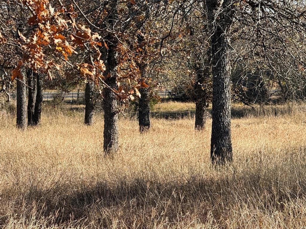 5 acres in Bosque County - photo 12