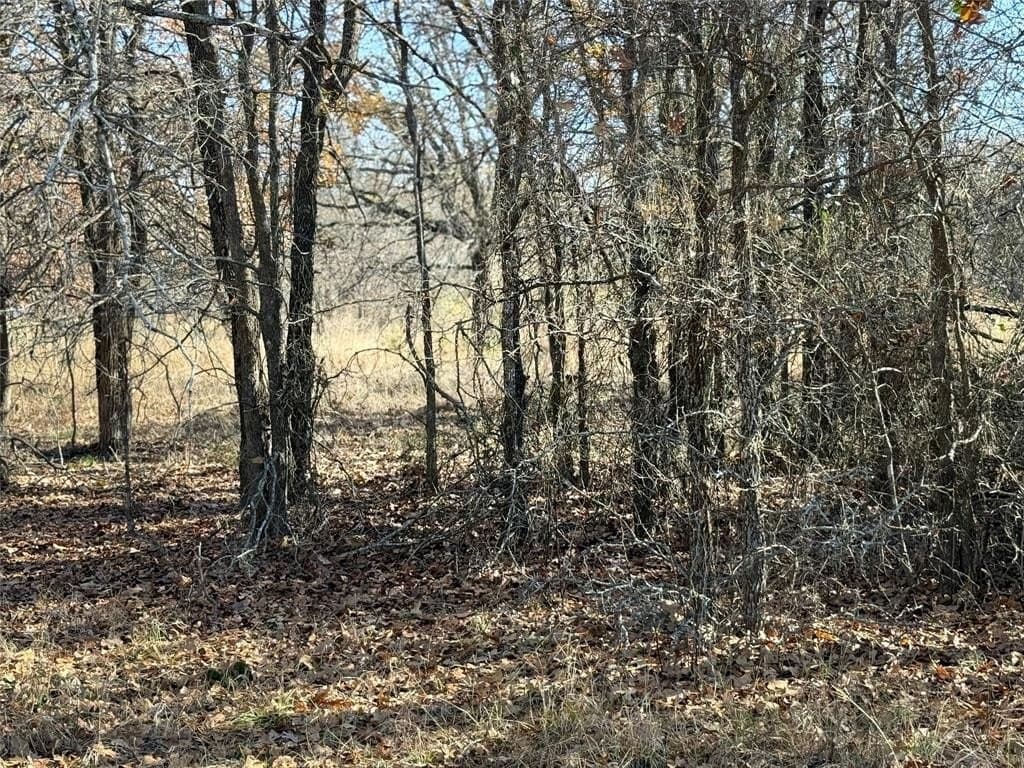5 acres in Bosque County - photo 14