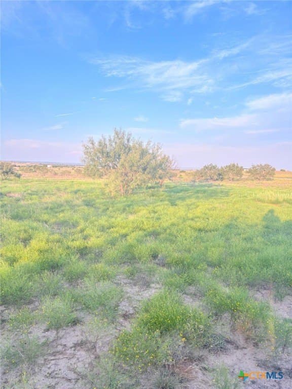 10.13 acres in Lampasas County - photo 4