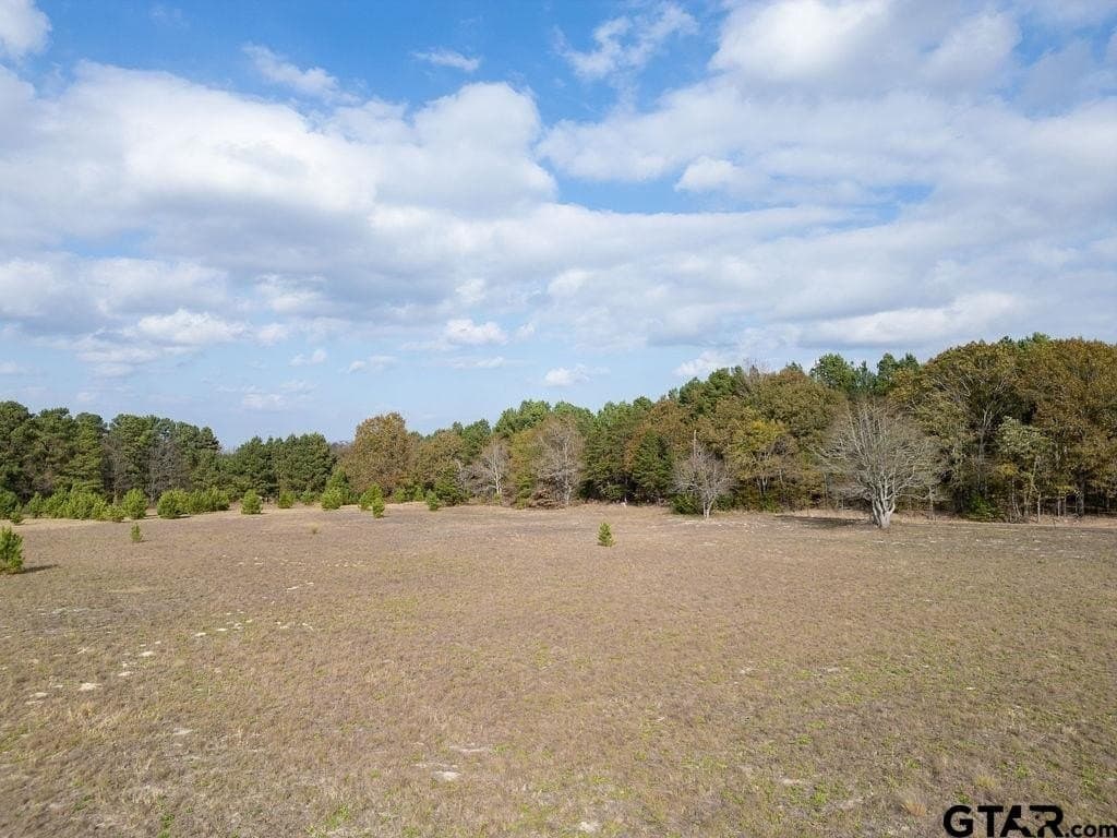 10 acres in Smith County - photo 10