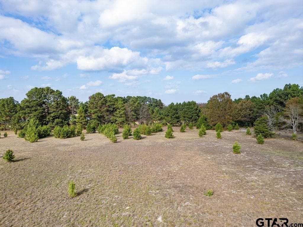 10 acres in Smith County - photo 6