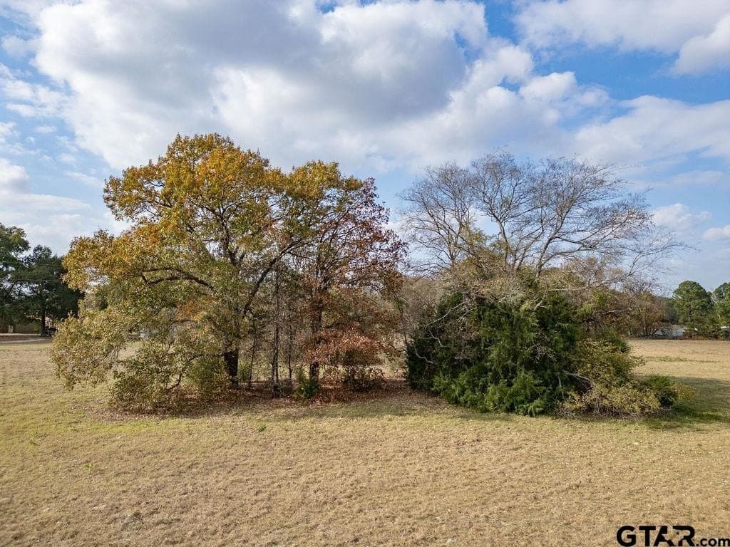 10 acres in Smith County - photo 9