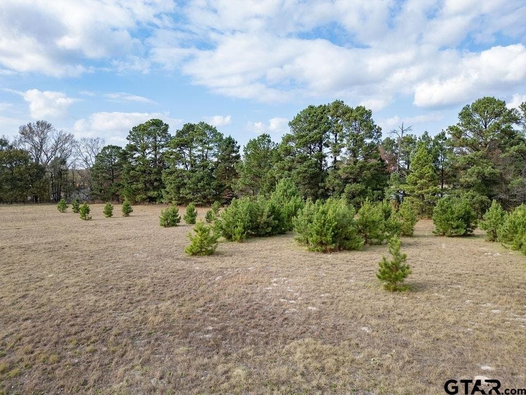 10 acres in Smith County - photo 5