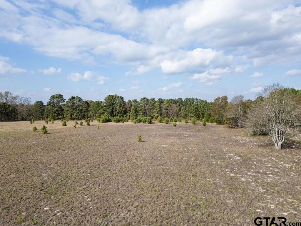 10 acres in Smith County - photo 7