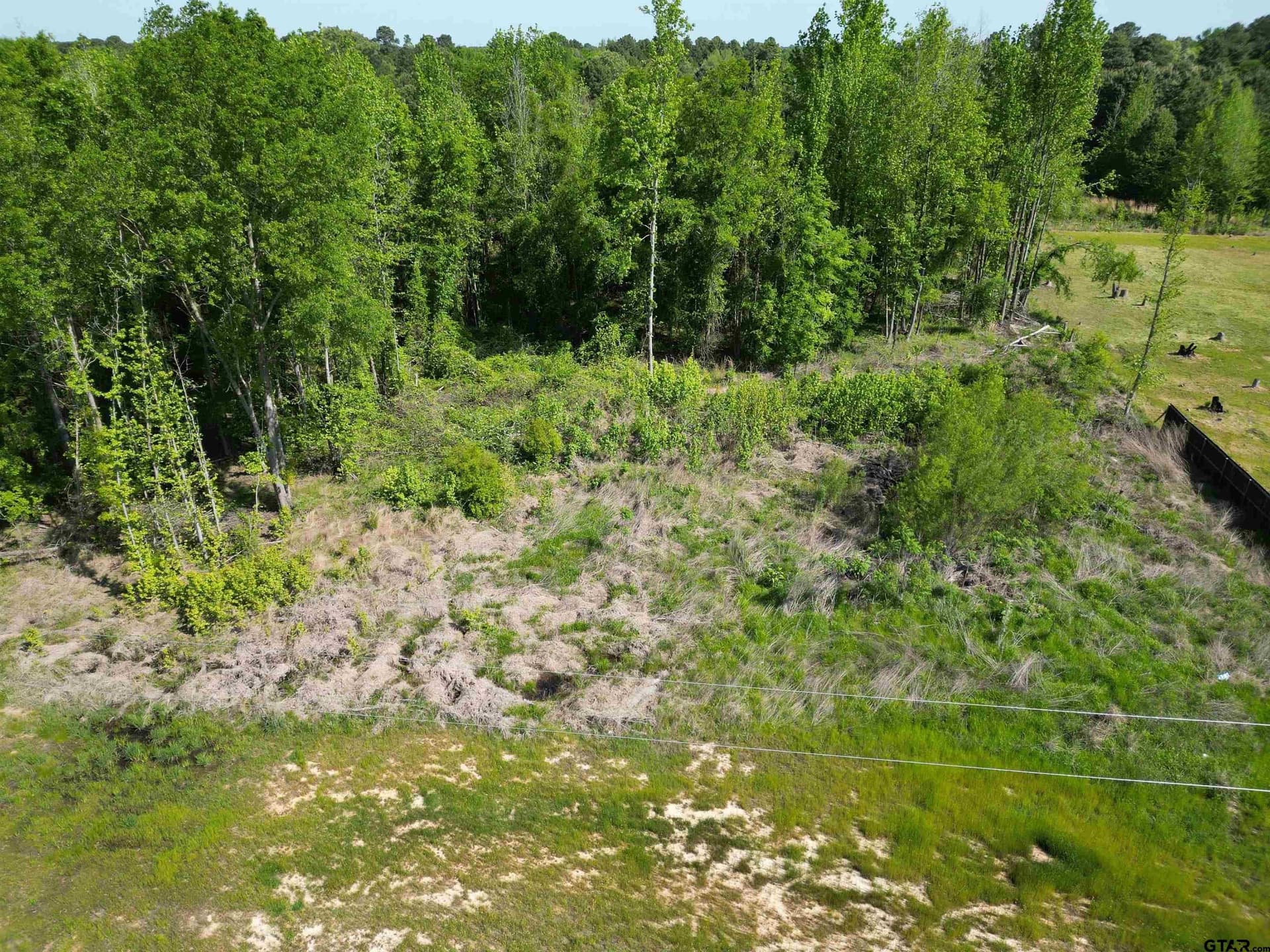 1 acres in Titus County - photo 3