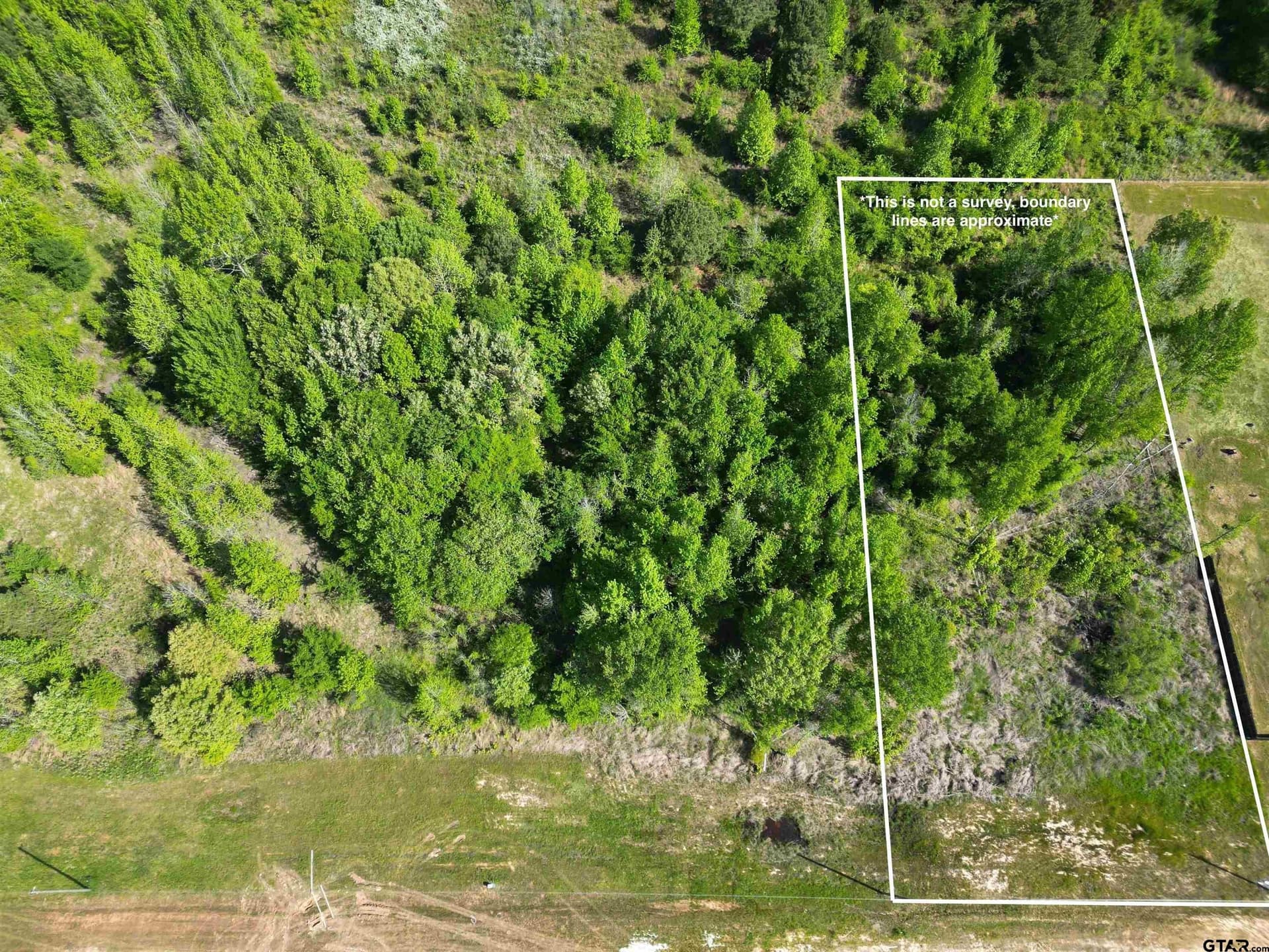 1 acres in Titus County - photo 2