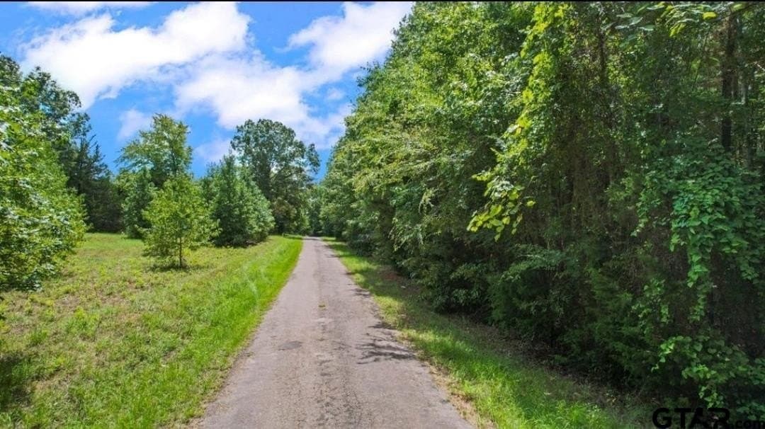 10 acres in Morris County - photo 6