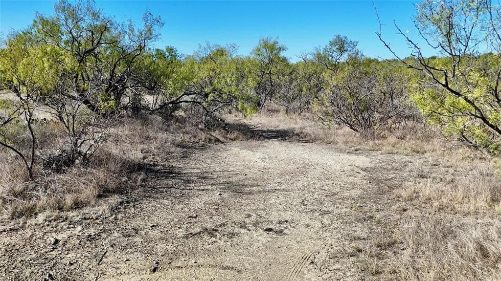 36.14 acres in Stephens County - photo 4