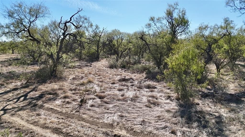 36.14 acres in Stephens County - photo 2
