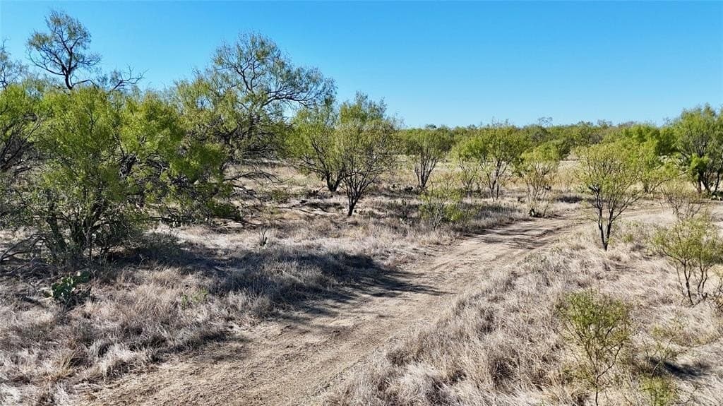 36.14 acres in Stephens County - photo 3