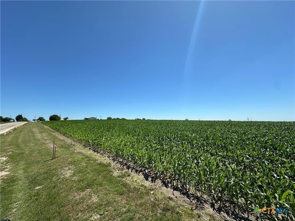 52 acres in Bell County - photo 11
