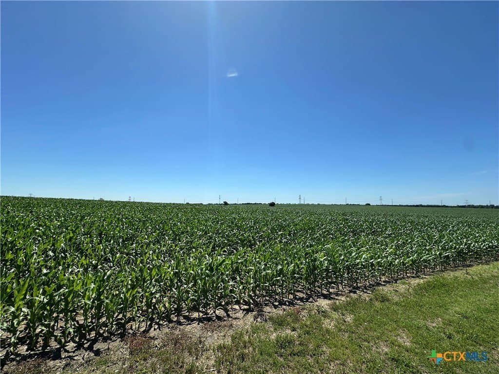 52 acres in Bell County - photo 14