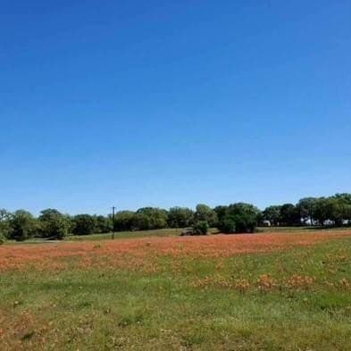 10.76 acres in Wise County - photo 6