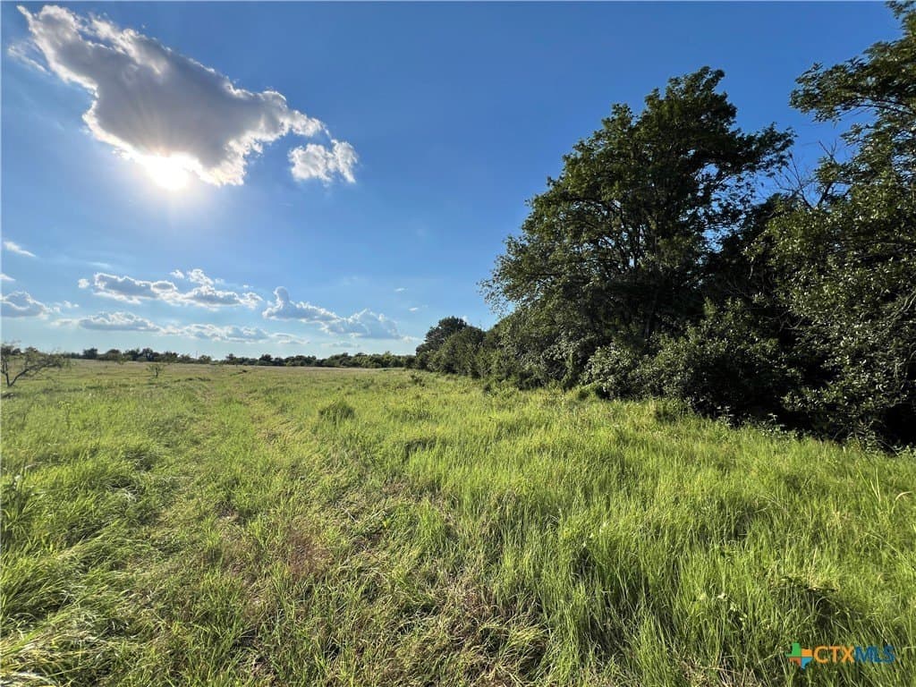 10.17 acres in Bell County - photo 2
