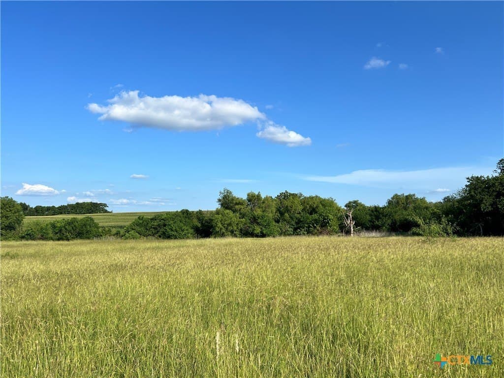 10.17 acres in Bell County - photo 7