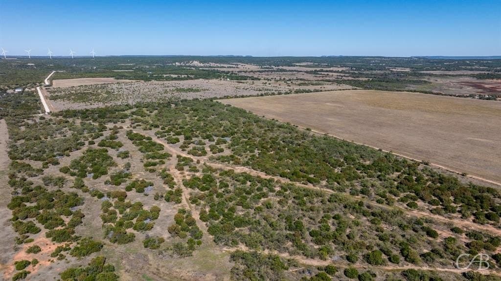 14 acres in Taylor County - photo 13