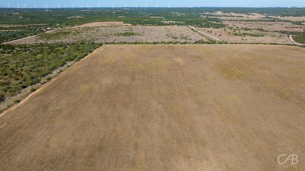 14 acres in Taylor County - photo 4