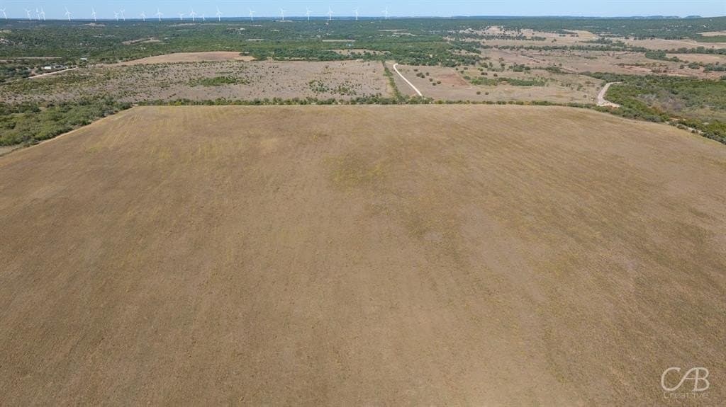 14 acres in Taylor County - photo 5