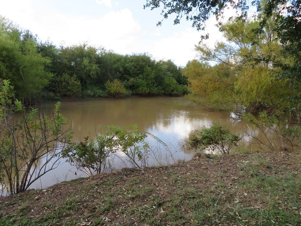 262.34 acres in Coleman County - photo 39