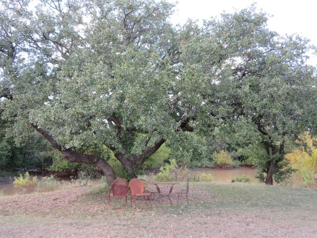 262.34 acres in Coleman County - photo 38