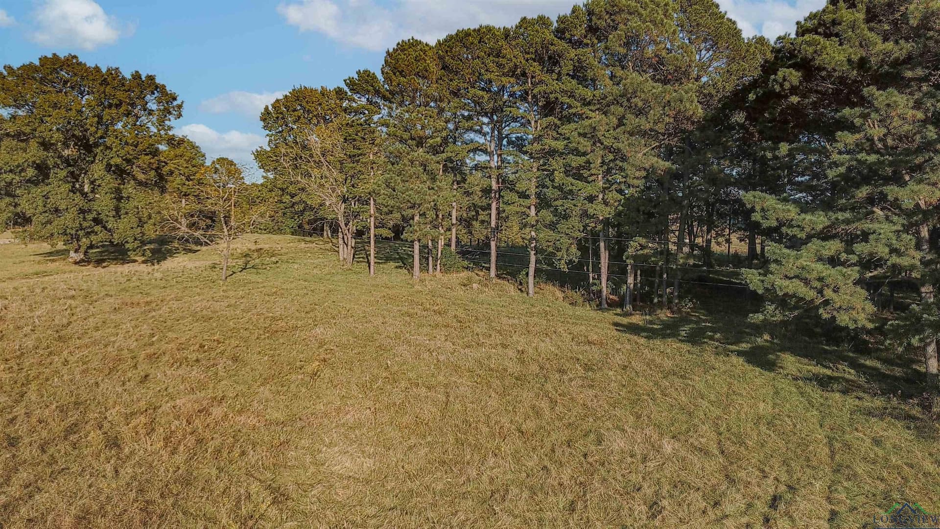 6.91 acres in Texas County - photo 5