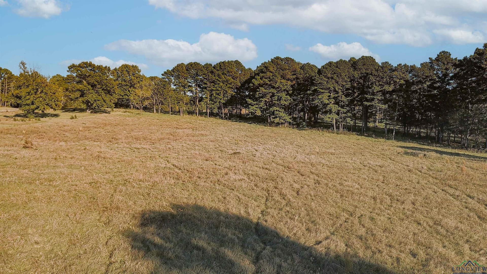 6.91 acres in Texas County - photo 10