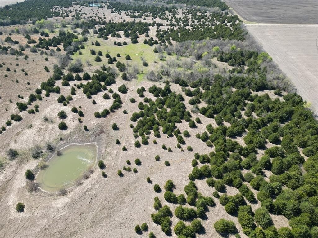 98.5 acres in Fannin County - photo 6