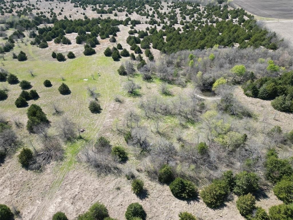 98.5 acres in Fannin County - photo 7
