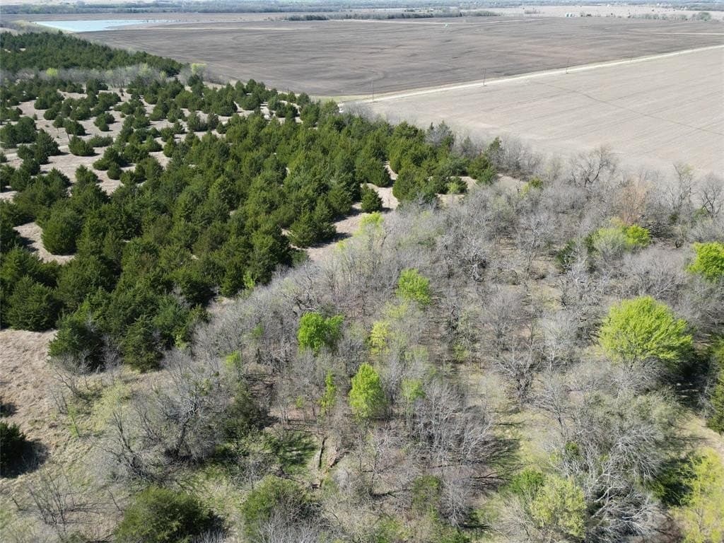 98.5 acres in Fannin County - photo 13
