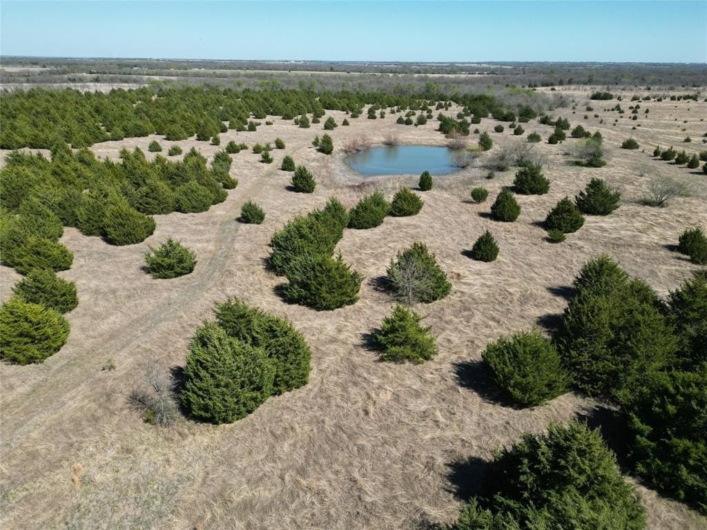 98.5 acres in Fannin County - photo 11
