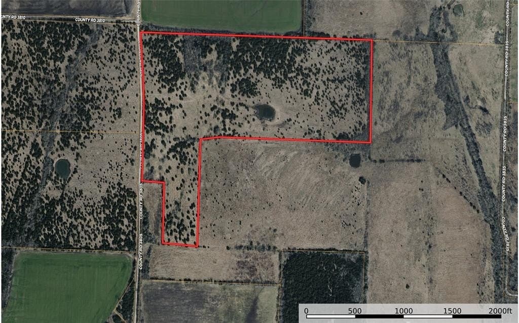 98.5 acres in Fannin County - photo 3