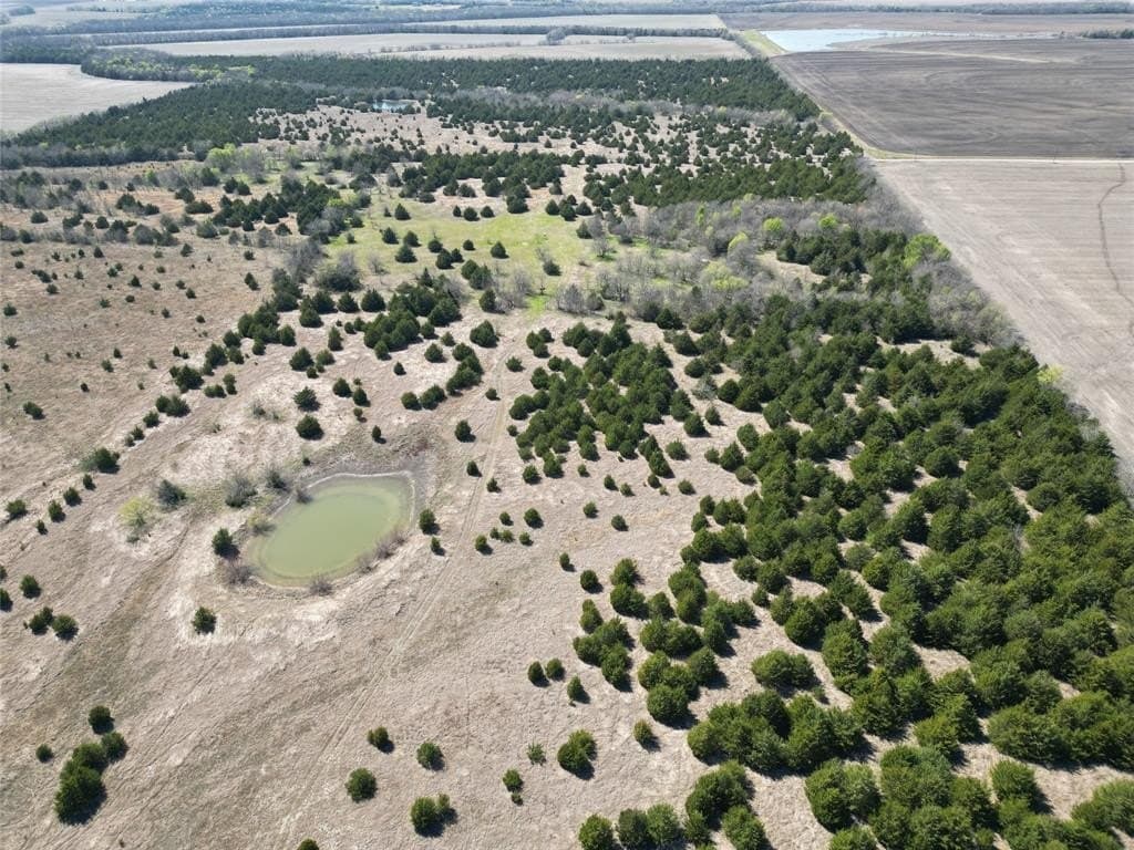 98.5 acres in Fannin County - photo 5