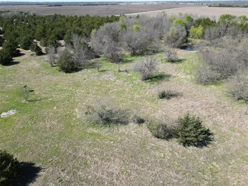 98.5 acres in Fannin County - photo 9