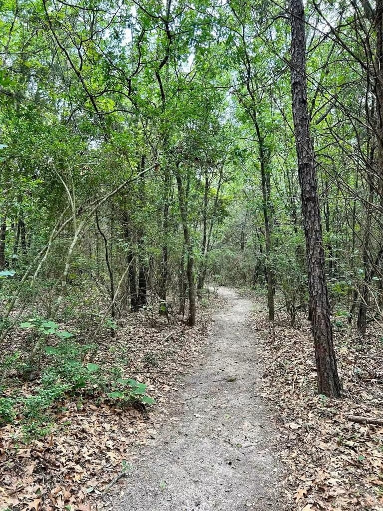 11.09 acres in SMITH County - photo 6