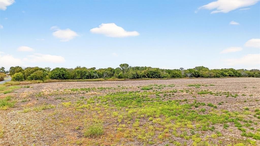 40 acres in Grayson County - photo 19
