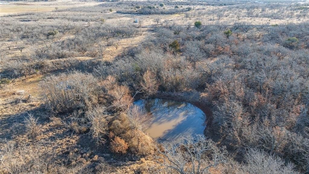 44.05 acres in Eastland County - photo 10