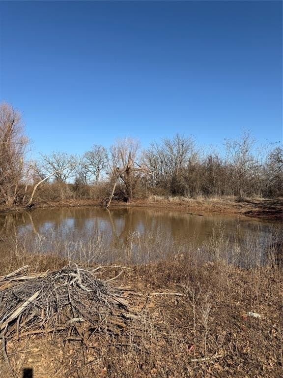 44.05 acres in Eastland County - photo 19