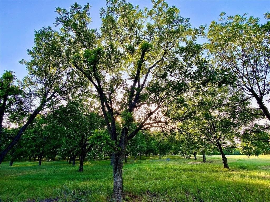 73.28 acres in Comanche County - photo 25