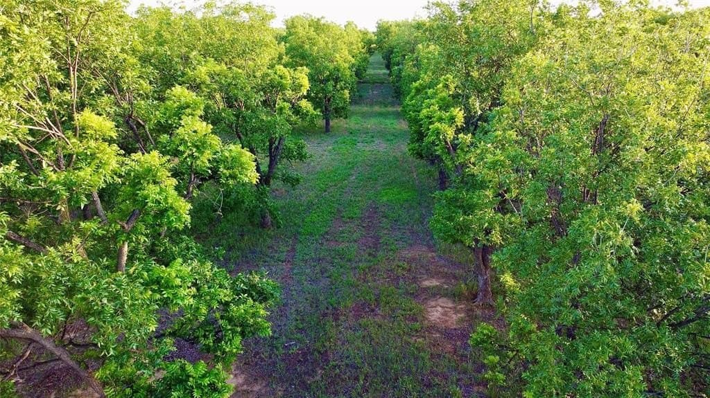 73.28 acres in Comanche County - photo 5