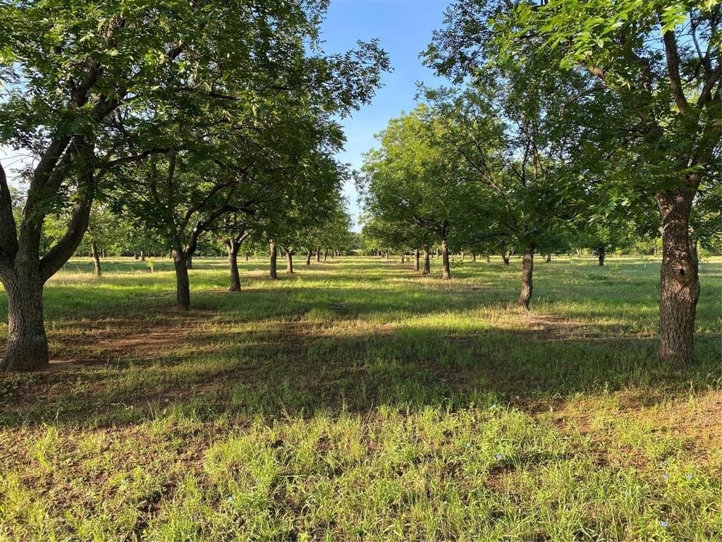 73.28 acres in Comanche County - photo 22